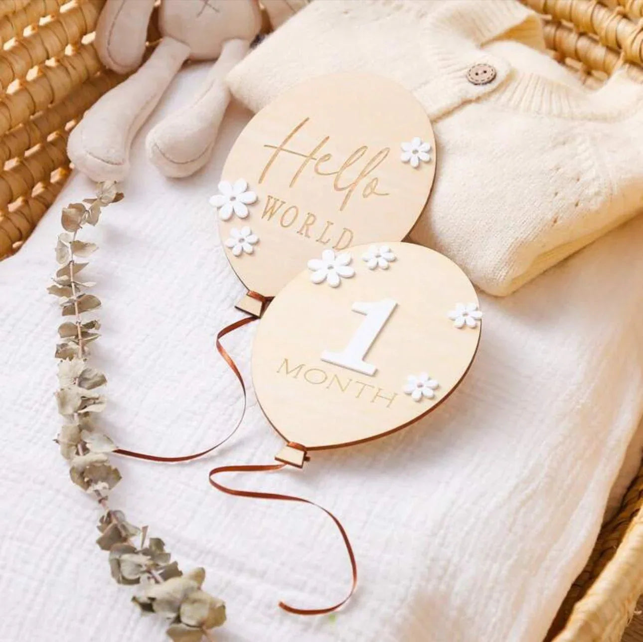 Baby Monthly Milestone Set - Peekabox