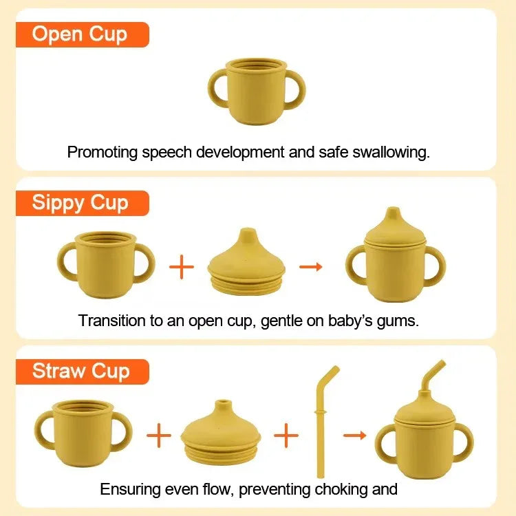 Sippy/Straw Cup - Peekabox