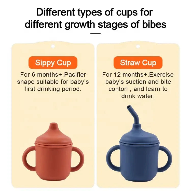 Sippy/Straw Cup - Peekabox